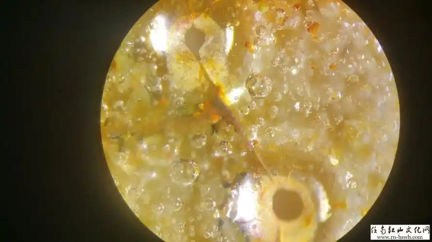 绝杀赝品——瓷器死亡气泡鉴定方法