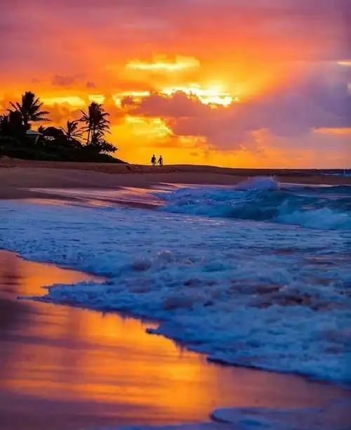 旅游风景##旅行推荐##漫游全世界##夏威夷