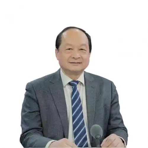 太和智库高级研究员丁一凡共建一带一路助力东南亚国家工业化