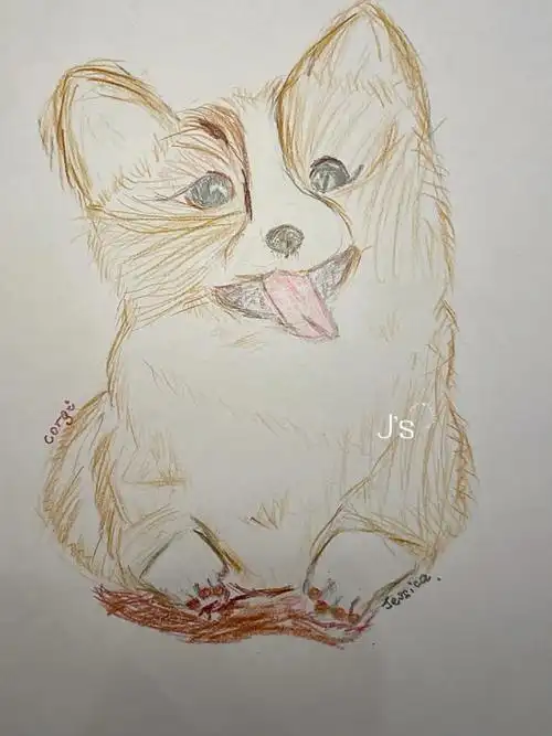 小可爱小宠物小世界我的彩铅画