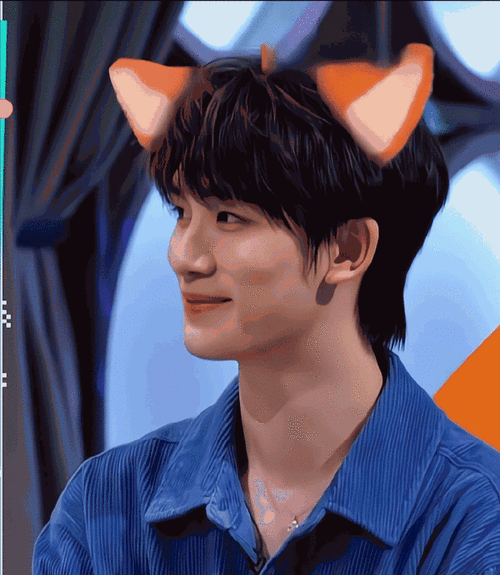 置顶感觉全世界的狐狸特效都被03用在丁程鑫身上了……#丁程鑫你好