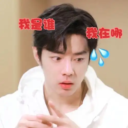 表情包 这个我熟 我做了好多呢