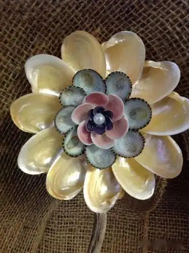 海边捡回家的贝壳粘起来一不小心成了艺术家