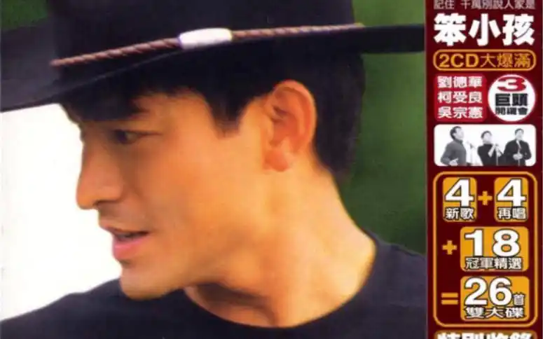 刘德华笨小孩国语精选dvd卡拉ok