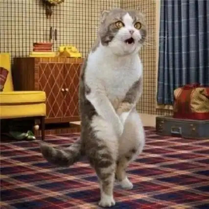 适合逗人的搞笑图片_非主流图片_kanqq个性网手机版