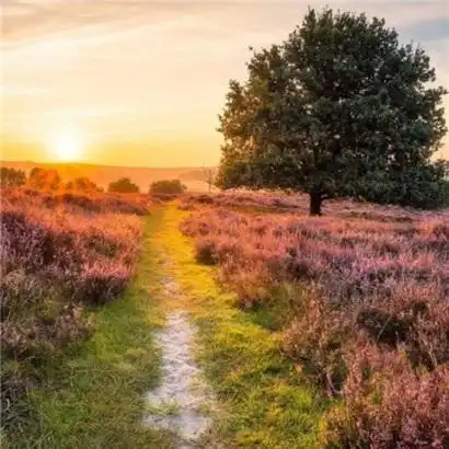 带来好运的微信头像 2021能带来好运的微信头像女