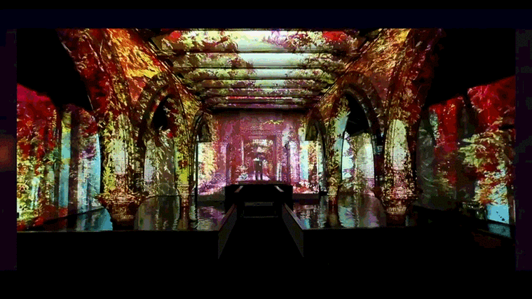 800_450gif 动态图 动图