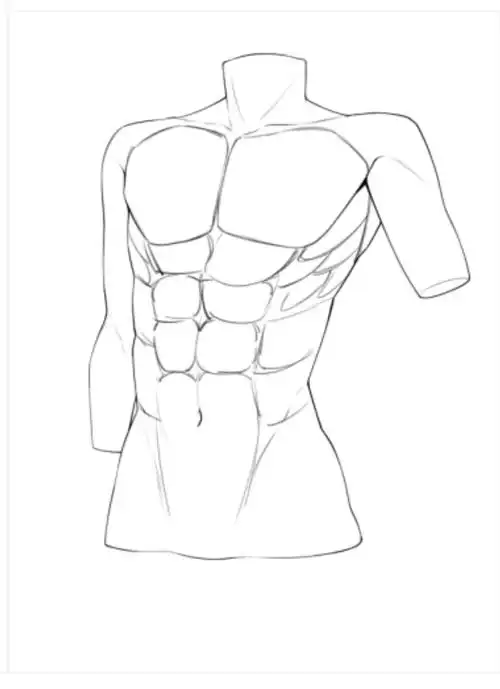 2分钟教你从体块细化出人体肌肉!——【轻微课一看就绘21期】 - 知乎