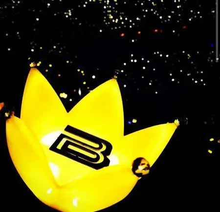 权志龙的皇冠到底叫皇冠海还是黄海冠