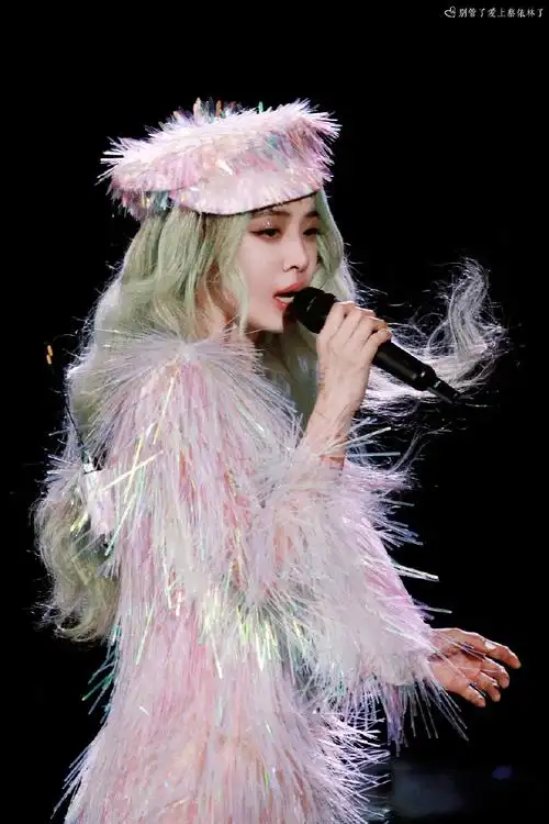 蔡依林uglybeauty演唱会