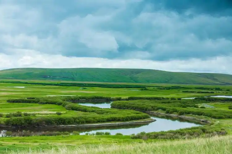 呼伦贝尔大草原自然,纯真,仿佛把人们带进了一个世外的神圣世界