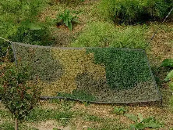 无人化战争的伪装有何特殊之处?