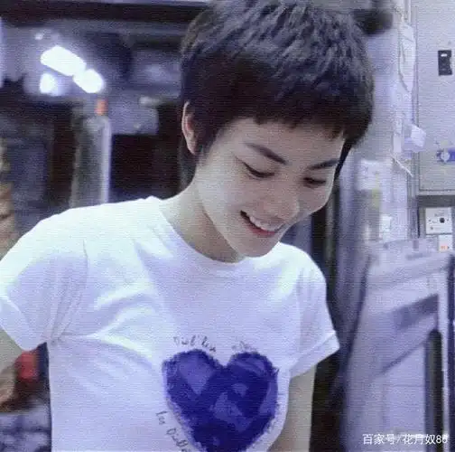 王菲美得浑然天成,凭重庆森林,获瑞典斯德哥尔摩电影节影后