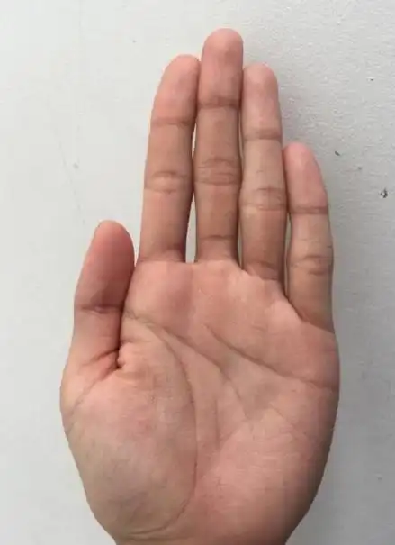 手相金星丘横纹,事业操劳,事业发展缓慢.