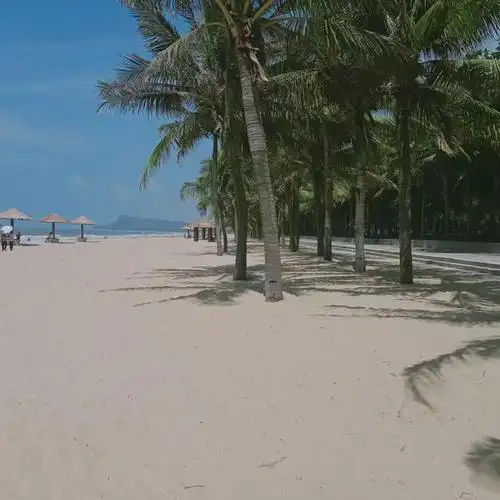 中国第一滩旅游度假区内沙滩宽阔平缓,沙质洁白细软,绵长的沿海防护林