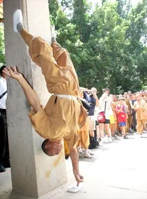 少林一指禅技惊四座组图