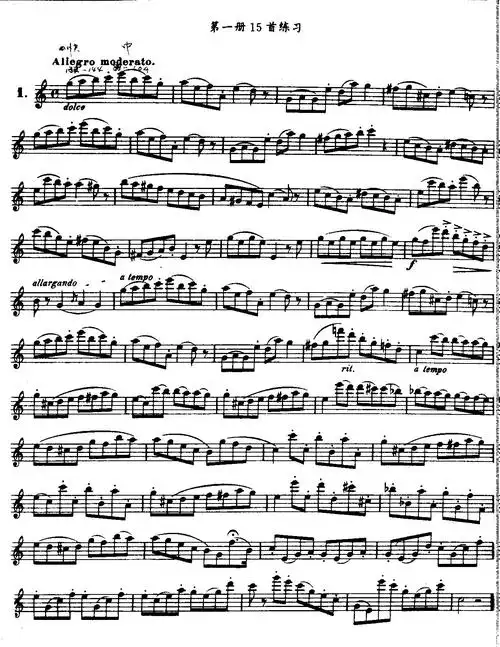 求长笛的技巧较多的曲子