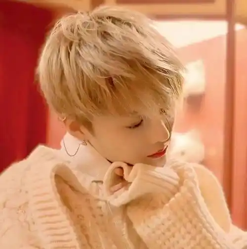 微信头像刘雨昕