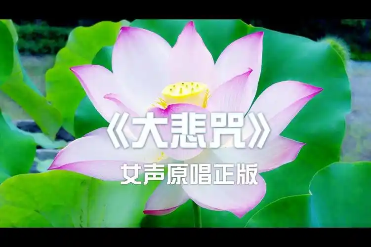 佛教音乐大悲咒女声原唱正版佛光普照家人一生清静