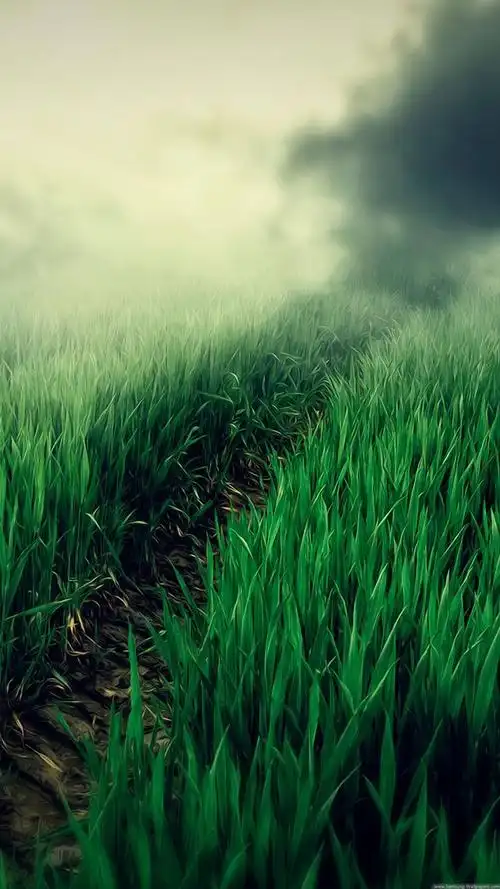 【质感壁纸】第23集 - 华为mate9系列主题美化 花粉俱乐部