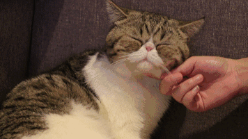 我花钱去的咖啡馆居然要服务别人