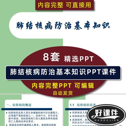 肺结核病防治基本知识ppt课件 病因诊断流程耐药性防治护理查房