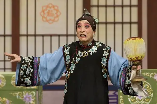 这出戏还是名角轮番出演的形式,刘兰芝的扮演者赵芳媛(张派,天津京