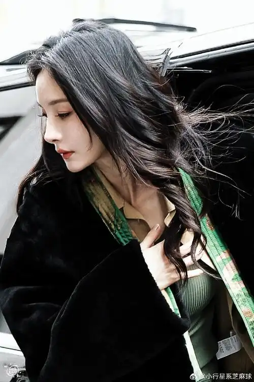 杨幂下车侧颜神图#杨幂巴黎时装周看秀造型96 这个侧脸神图狠狠爱了