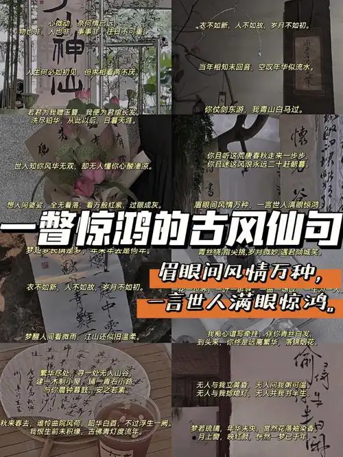 摘抄一瞥惊鸿的古风仙句