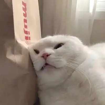 超沙雕头像图片合集145张_搞笑头像_头像屋