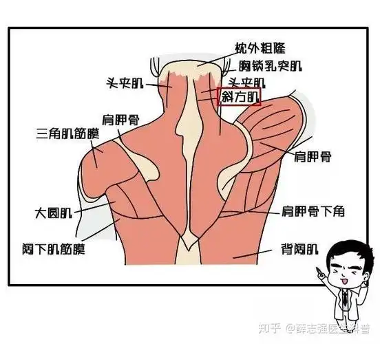 肉毒素注射斜方肌颈阔肌全方位打造天鹅颈