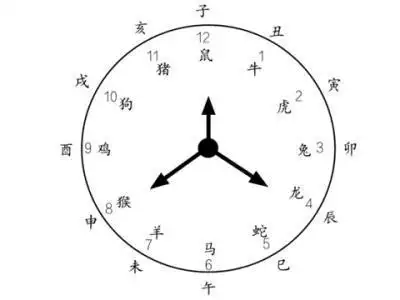 哪些时辰出生的生肖容易结婚较晚 十二生肖时辰