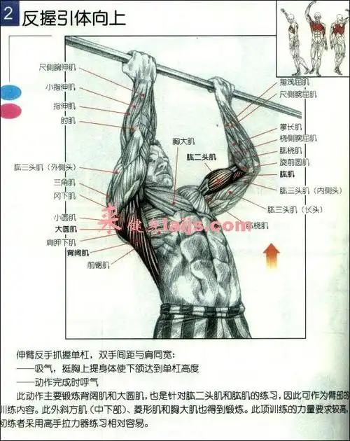 602_759竖版 竖屏