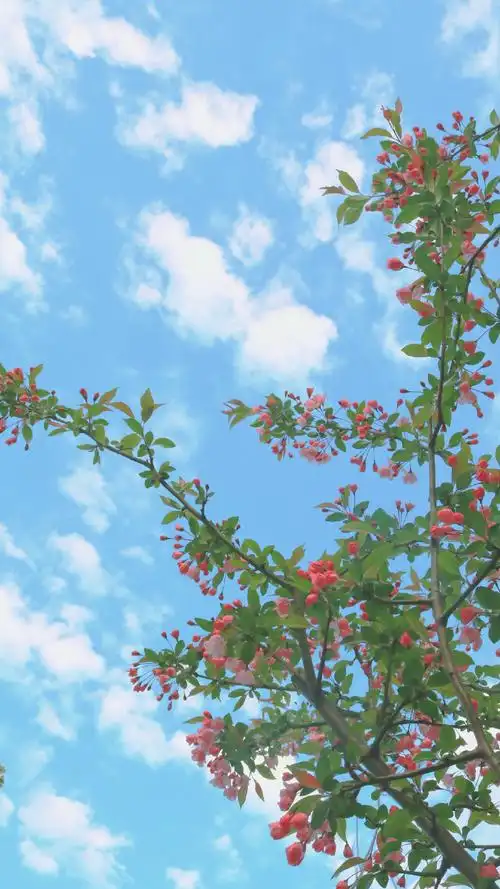 春天的气息95_风景_poco摄影,旅行日志博文,花意浓,生活日记博文