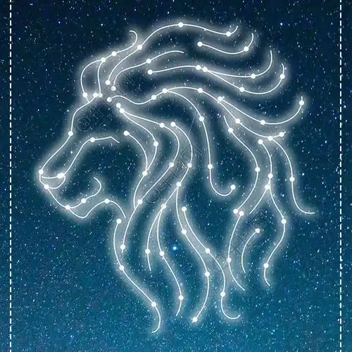 狮子座手机海报设计