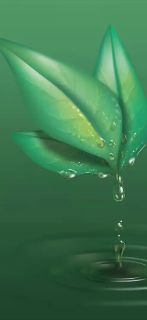 最新超清护眼手机壁纸(100张绿色护眼手机壁纸)(79)