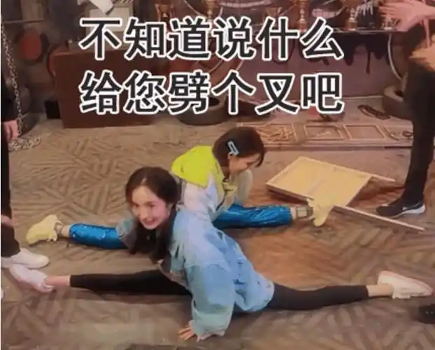 不知道说什么好给您劈个叉吧 用网络用语来请教