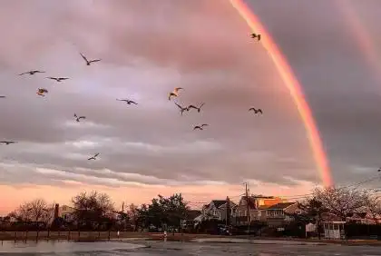 小红书文艺唯美句子最新文艺短句