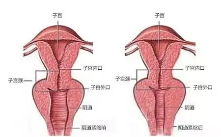 面子工程or私密工程你更注重哪个