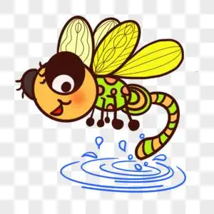 蜻蜓点水图片
