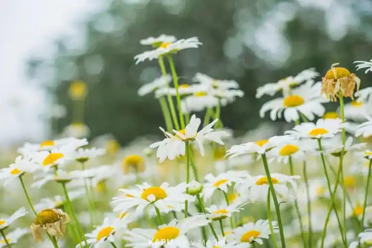 扛镜子拍照抖音小红书上谁拍谁火的照片是怎么拍出来的