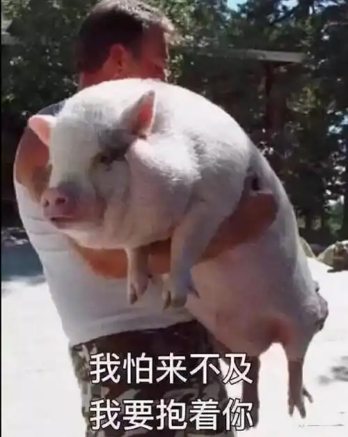 我怕来不吸我要抱着qq表情包搞笑图片表情