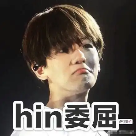 exo边伯贤带字搞笑表情包大全略略略