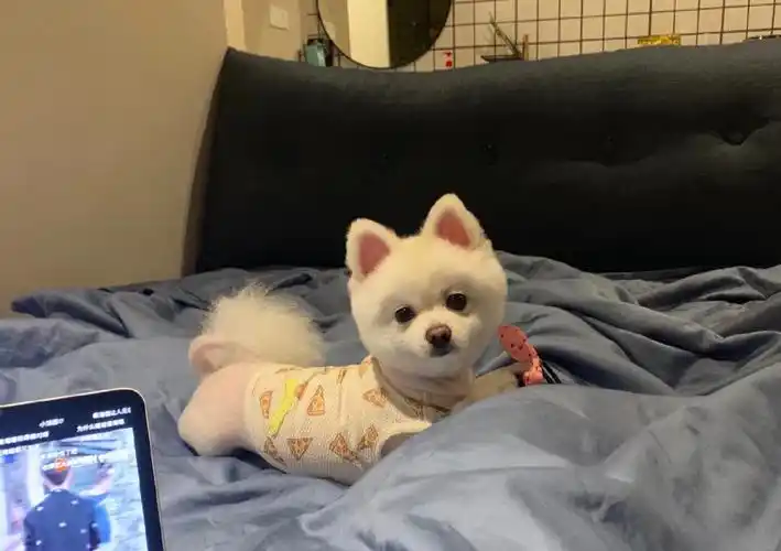 朋友圈/ins空间潮背景图二传注明 诗梦瑶 - 堆糖,美图壁纸兴趣社区