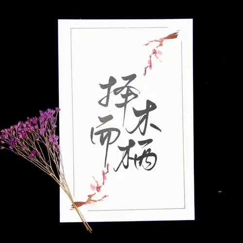 橡皮章    卡比丘 《择木而栖》 字素微博@枝阿又又(已授权)