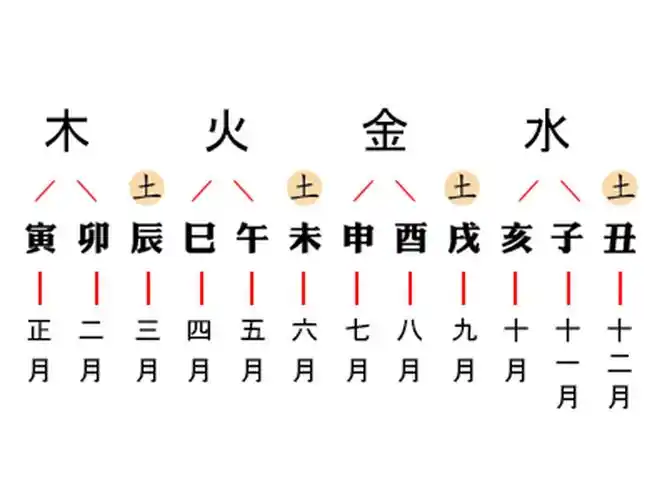 四柱八字知识详解小白入门学习