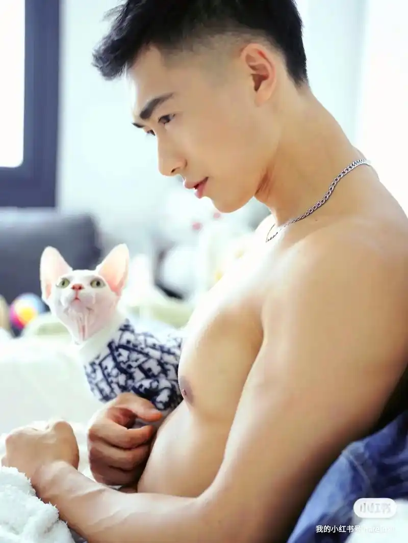 摄影 #颜值 #腹肌 #肌肉 #猫  - 抖音