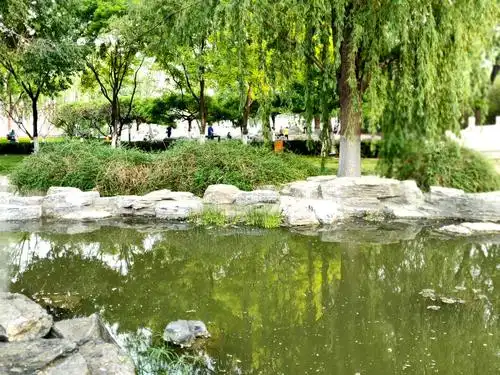 莲花池公园的水景. (美篇习作988)