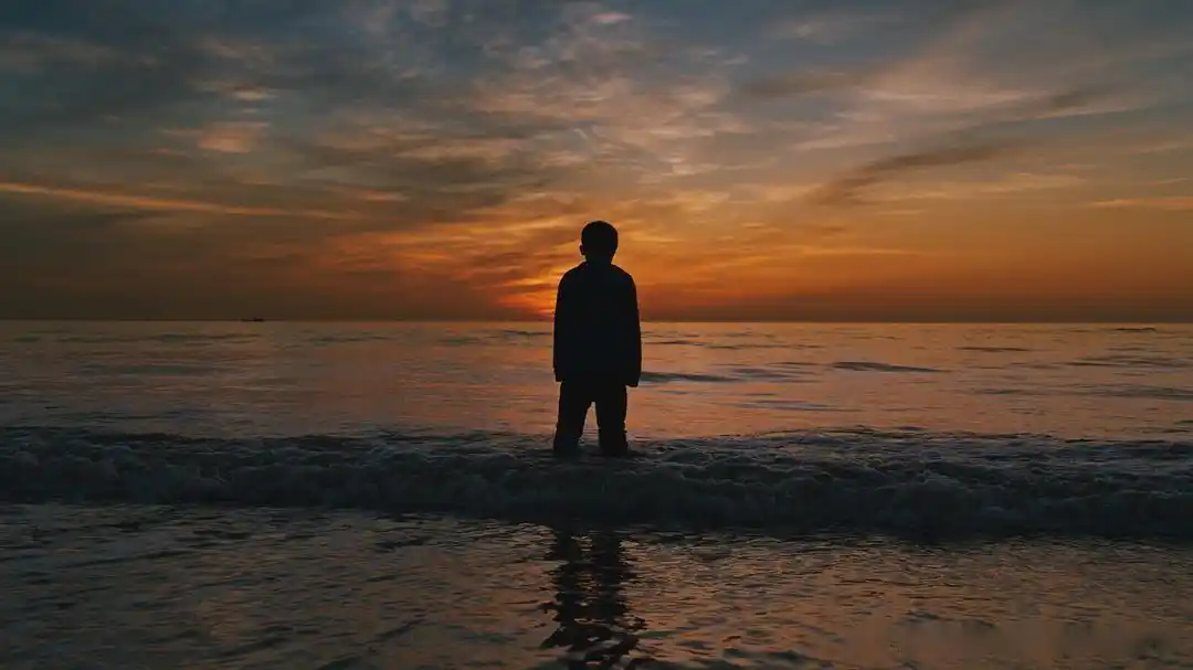 讲述了热爱海洋的男孩于小杰想买《海洋百科》,却遇到家人车祸,自己