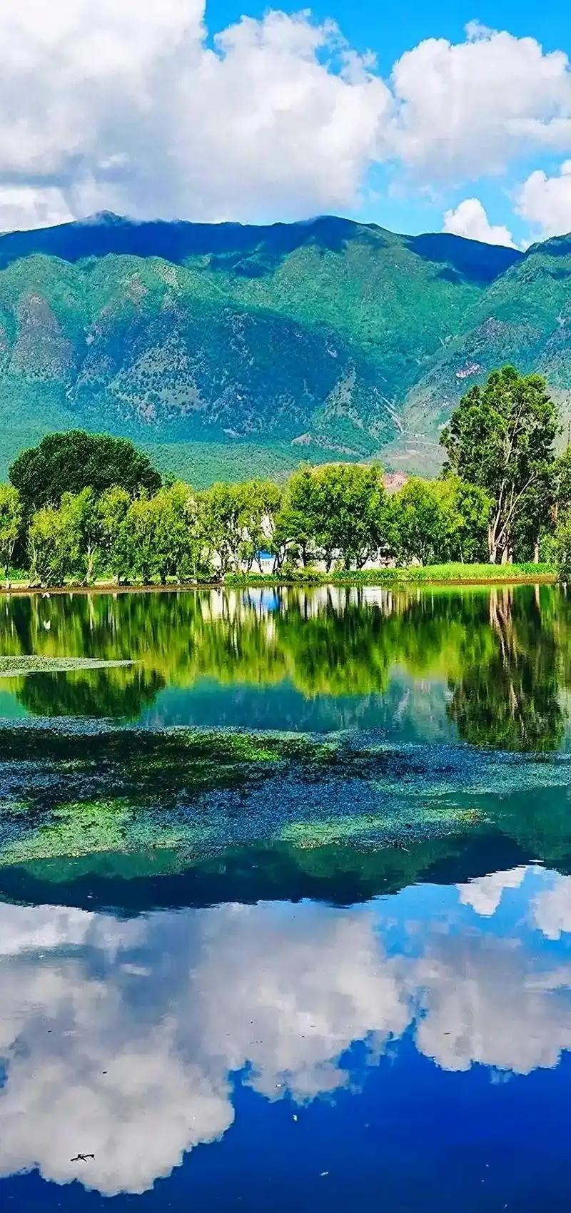 风景壁纸 #大自然的美丽景色 #云游中国 #治愈系风景  - 抖音